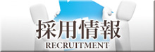 採用情報